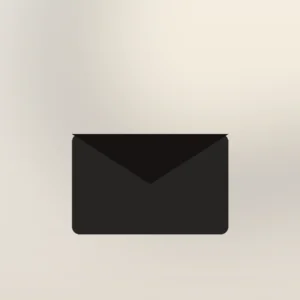 Céleste Leather Clutch