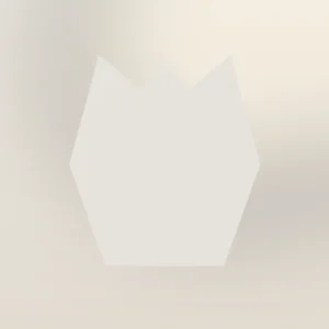 Lucent Evening Shirt