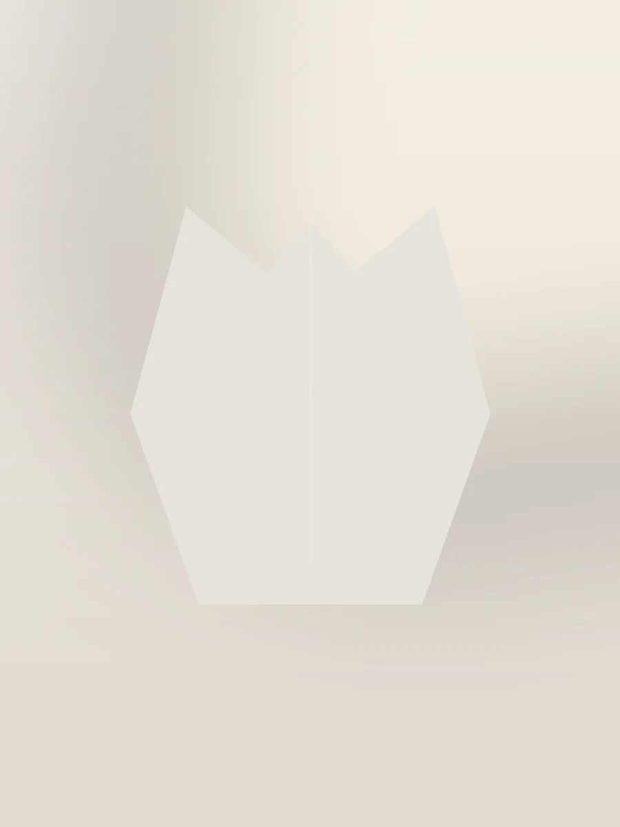 Lucent Evening Shirt
