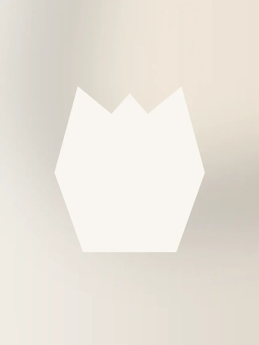 Lucent Evening Shirt